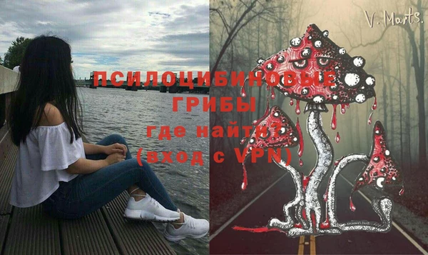 прущие крисы Новодвинск