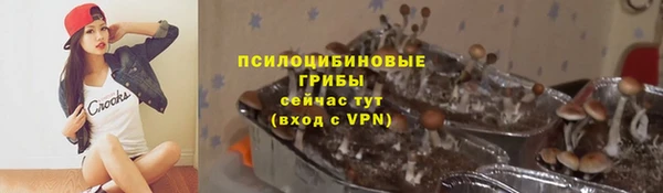 синтетический гашиш Бикин