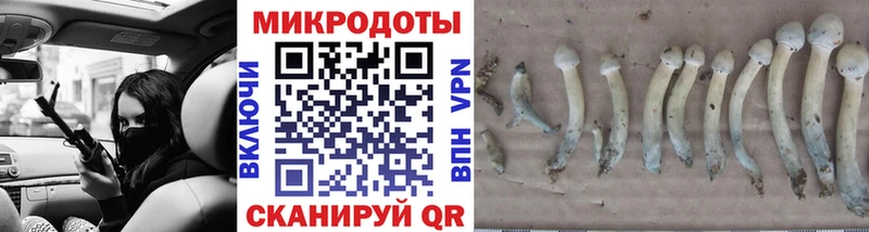 Псилоцибиновые грибы прущие грибы  Холмск 